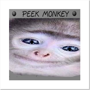 Peek Monkey illustration Posters and Art